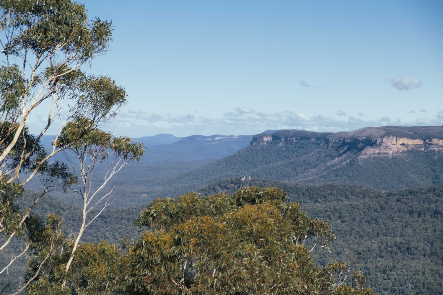 The Lookout Echo Point
